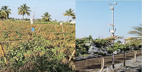 भारताच्या कृषी भविष्याची दिशा ठरवणारा बारामतीचा एआय प्रयोग