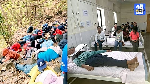 Students Injured After Bee Attack While Trekking in Madheghat