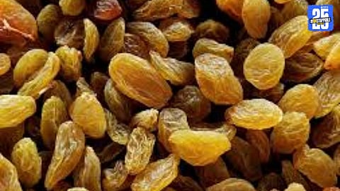 Khanderajuri Fraud Case: Farmer Approaches Police Over Unpaid Raisin Deal