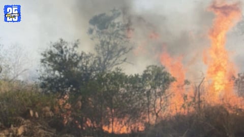 Forest Fire Breaks Out in Warulwadi Hills