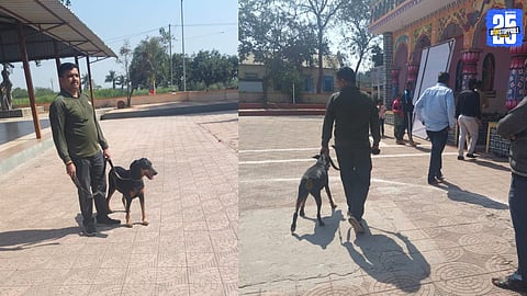 Midnight Robbery at Tukaidevi Temple in Pargaon