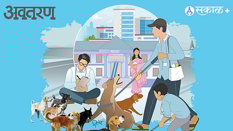 Dog-human conflict management in schools