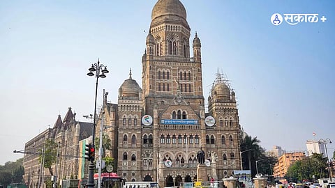 BMC elections