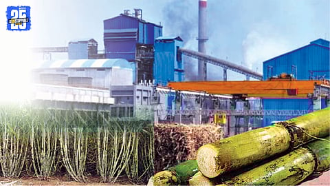 Sugarcane crushing operations underway at cooperative sugar factories in Sangli district.