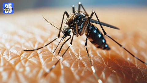 Health officials inspecting water stagnation sites as part of dengue prevention drive in Karnataka.