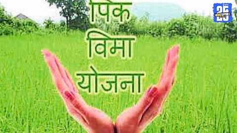 Crop Insurance Delay Pushes Narkhed Farmers into Financial Crisis