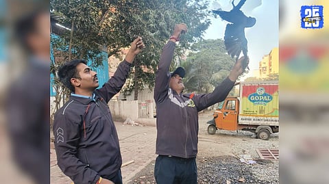 Crow Trapped in Kite String Rescued Safely