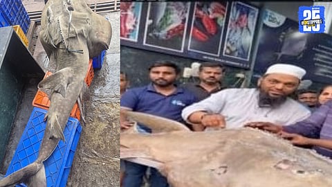 Screenshots from the viral video that exposed illegal hunting of the rare Bowmouth Guitarfish.