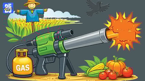 Farmers in rural areas struggle to protect crops amid wildlife threats after weapon deposit orders.