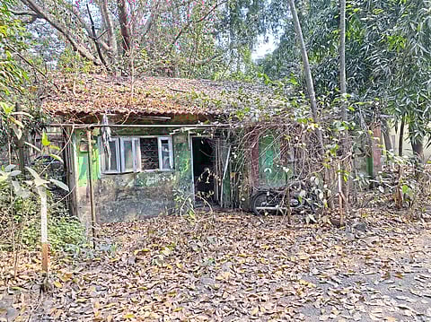 पनवेलमध्ये वन विभागाची नवीन इमारत