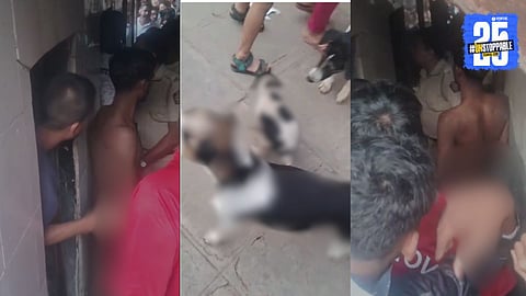 Mumbai Animal Cruelty Case: मुंबईत अमानुष कृत्य! अडीच महिन्यांच्या श्वानाच्या पिल्लावर लैंगिक अत्याचार, आरोपीला अर्धनग्न अवस्थेत अटक