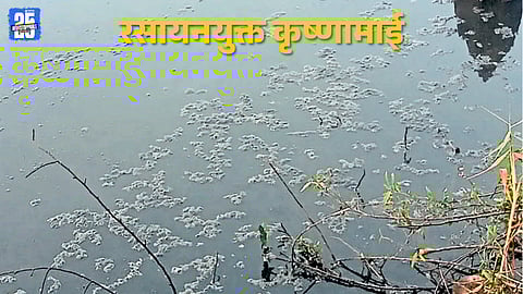 Polluted Krishna River water showing dark color and foam near Tambavya Dhoh.
