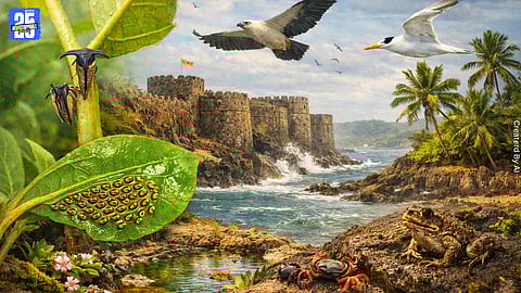 Coastal fort landscapes supporting rich biodiversity along the Konkan coast.