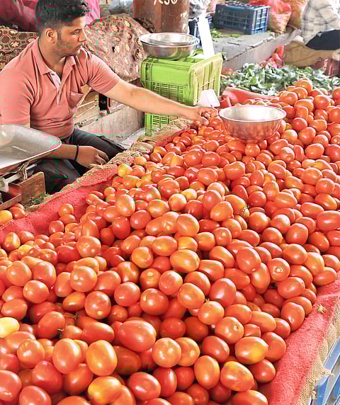 बटाटा, टोमॅटो, लसूण, शेवग्याच्या भावात घट
