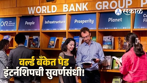 Pioneers Internship Program