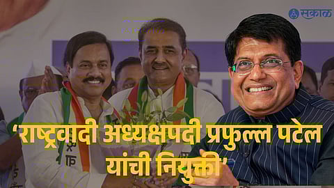 Piyush Goyal statement impact on maharashtra politics
