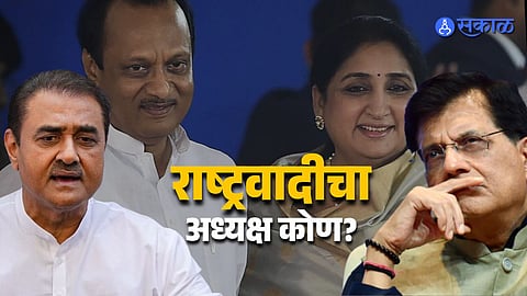 Piyush Goyal Clarifies Statement on NCP President Praful Patel