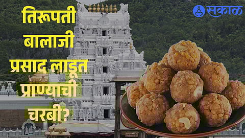 Tirumala temple Laddu ghee quality issue