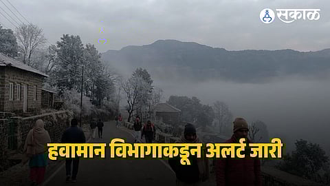 Clear skies and rising temperatures mark the beginning of February as IMD predicts dry and sunny weather across Maharashtra.