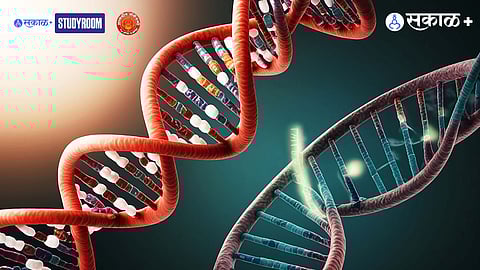 Gene Editing Controversy