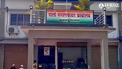 Pali Nagar Panchayat impact on Zilla Parishad Panchayat Samiti election