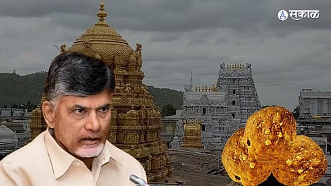 Former Andhra Pradesh Chief Minister Chandrababu Naidu addressing the media while making allegations regarding the purity of Tirupati Laddu prasadam.
