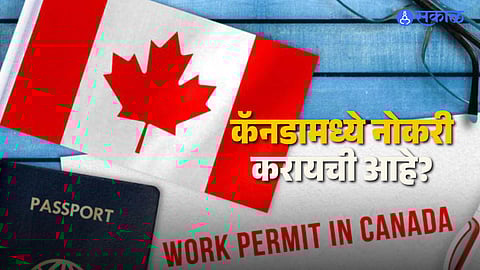 IRCC work permit
