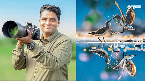 Wildlife Photography