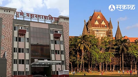 Court reprimanded PMC on trees protection