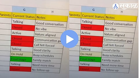 A Pune-based professional goes viral after creating an Excel tracker to manage arranged marriage proposals, highlighting modern matchmaking trends.