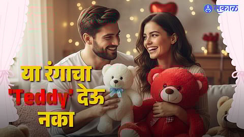 Teddy Day 2026