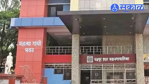 Chandrapur municipal election Congress leadership failure