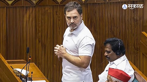 rahul gandhi loksabha