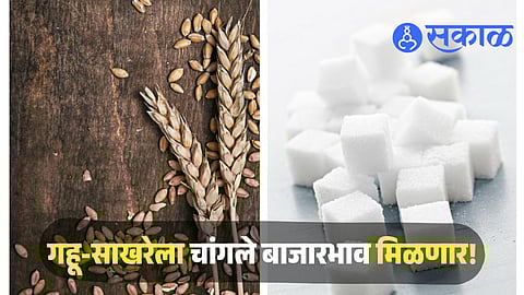 India Wheat And Sugar Export