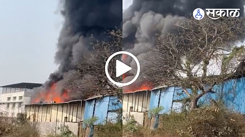 Vasai Fire Video Viral