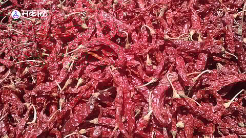 Empty chilli market yard