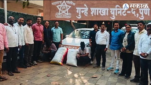 Marijuana trafficking arrested in Pune