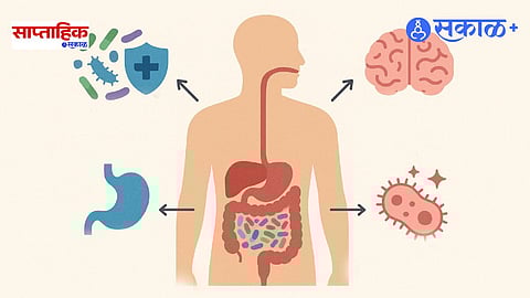 Human Microbiome Project