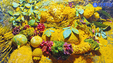 Heavy Rush of Devotees in Jejuri for Rare Guptaling Darshan