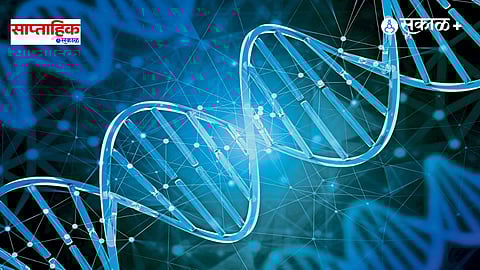 Telomere Lengthening