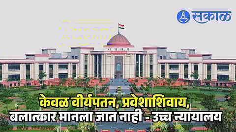 Chhattisgarh High Court rape ruling