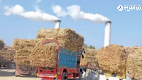 Solapur Sugar Sector Crisis: Cane Bills Still Unpaid After Season