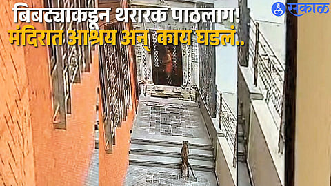 Residents gather near Kunthunath Society in Sangamner after a leopard was spotted chasing a woman.