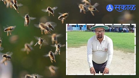 A shocking scene from a cricket match in Unnao where a swarm of bees attacked players and officials, resulting in the tragic death of an umpire after multiple stings.