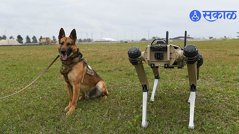 robodogs beyond the Galgotias controversy, their role in India defense strategies, and why robotic dogs are essential for modern security.