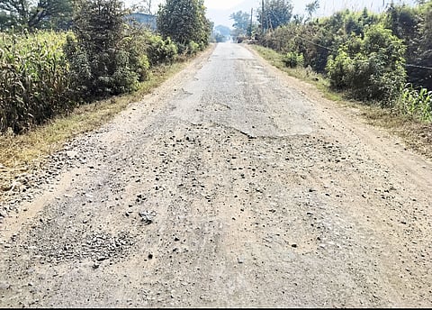 कास - वेन्नानगर ते वेळे दरम्यान रस्त्यावर खड्डेच खड्डे....