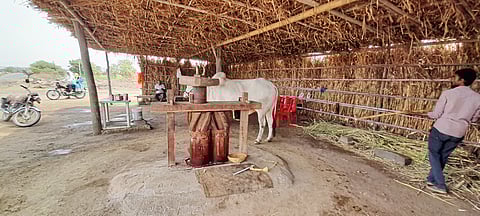 सध्या उन्हाळा सुरू झाला असल्याने आळेफाटा परीसरात दिसु लागली आहेत थंड पेयची दुकाने