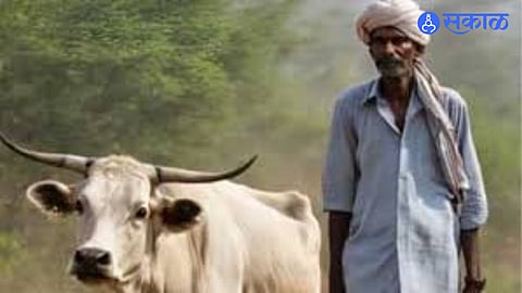 Financial Relief for Cattle Rearers: State Announces 4% Interest Concession