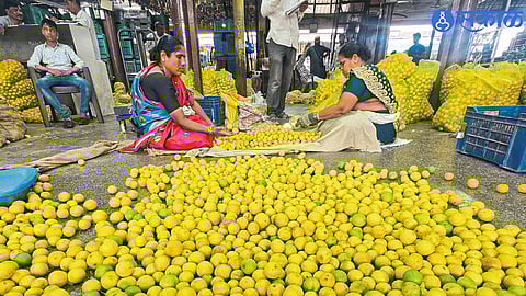 Lemon Prices Climb as Heatwave Grips City; Traders Cite Lower Supply