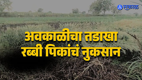 Heavy Rain With Thunder Hits Parts of Maharashtra